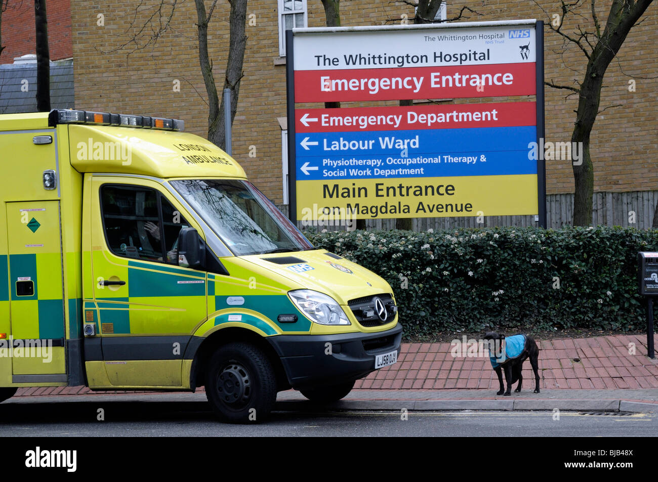 Ambulanza parcheggiato all'entrata Whittington Ospedale con piccolo cane sul marciapiede Archway Londra Inghilterra Gran Bretagna REGNO UNITO Foto Stock
