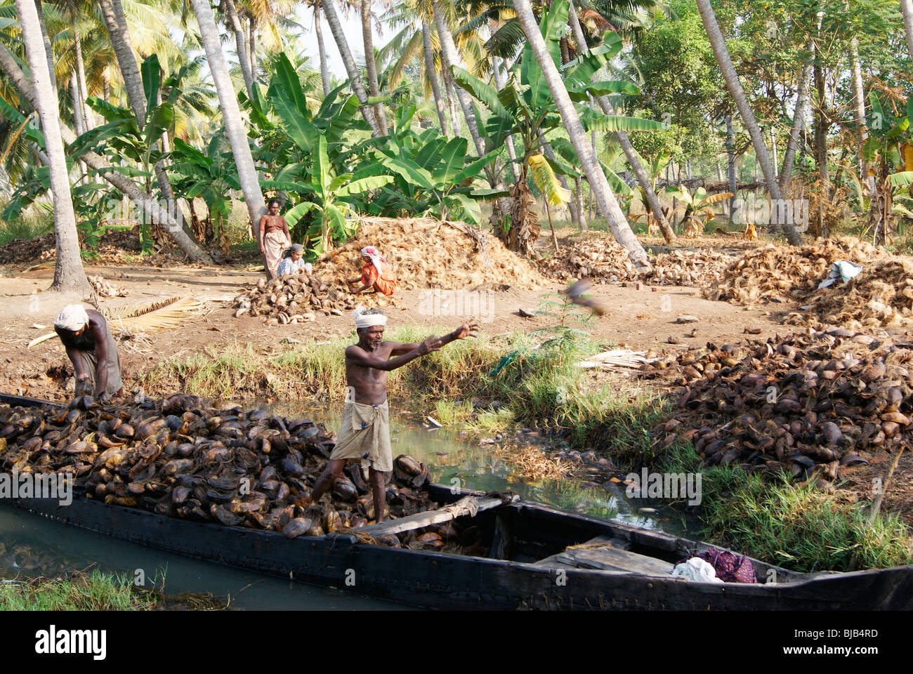 Elaborazione di cocco piccola industria.Materie Prime buccia di cocco viene raccolta e trasporto attraverso le lagune del Kerala per l'industria Foto Stock