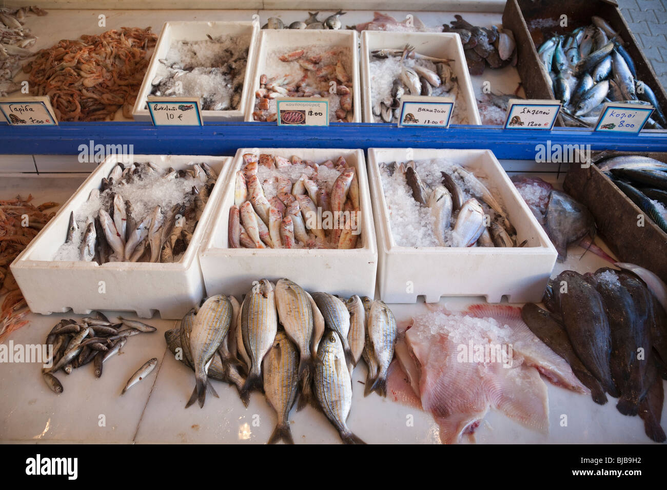 Pesce fresco nel mercato del pesce di Itea,Grecia Foto Stock