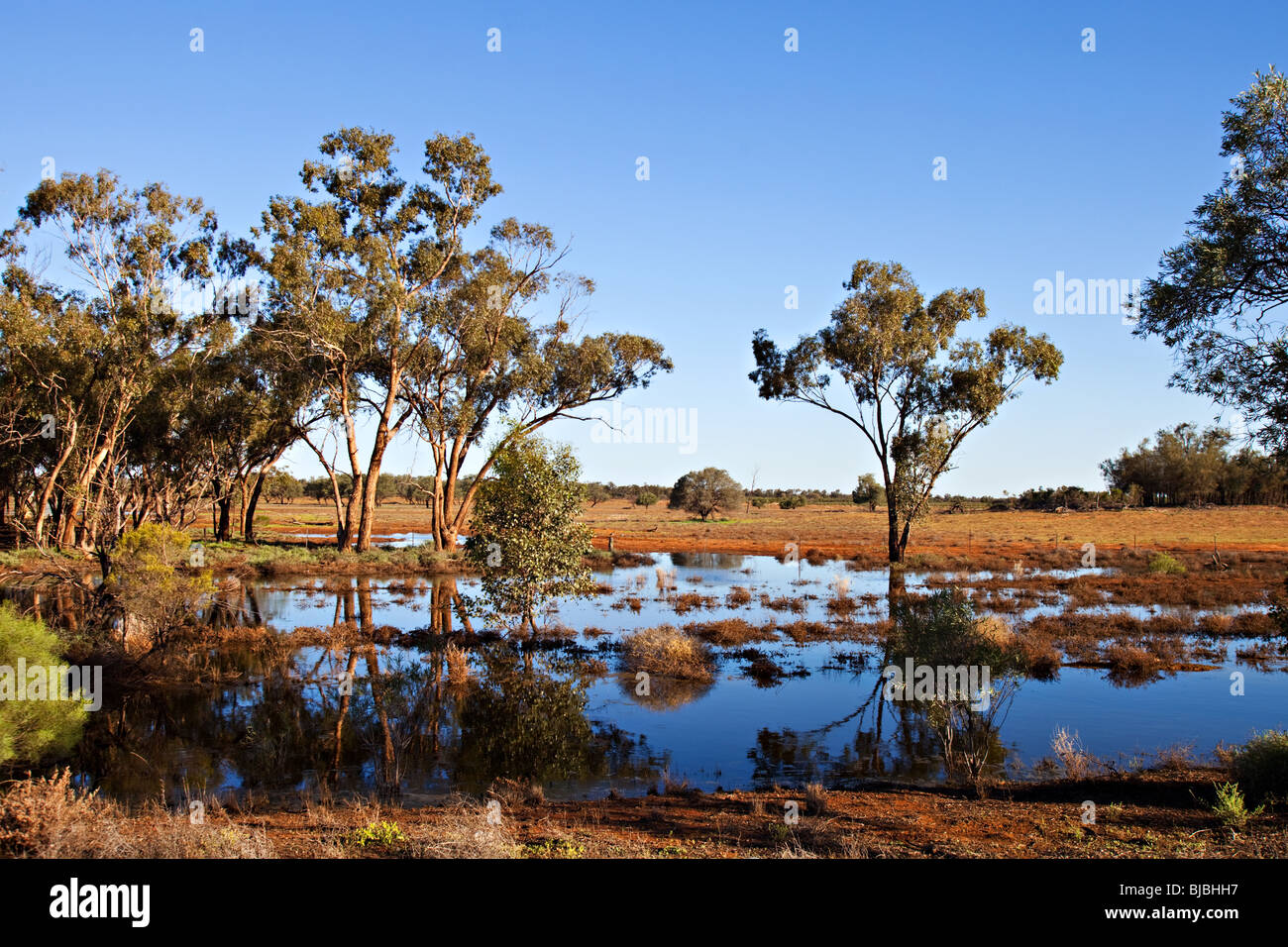 Acqua in outback australiano dopo le inondazioni, nsw australia Foto Stock