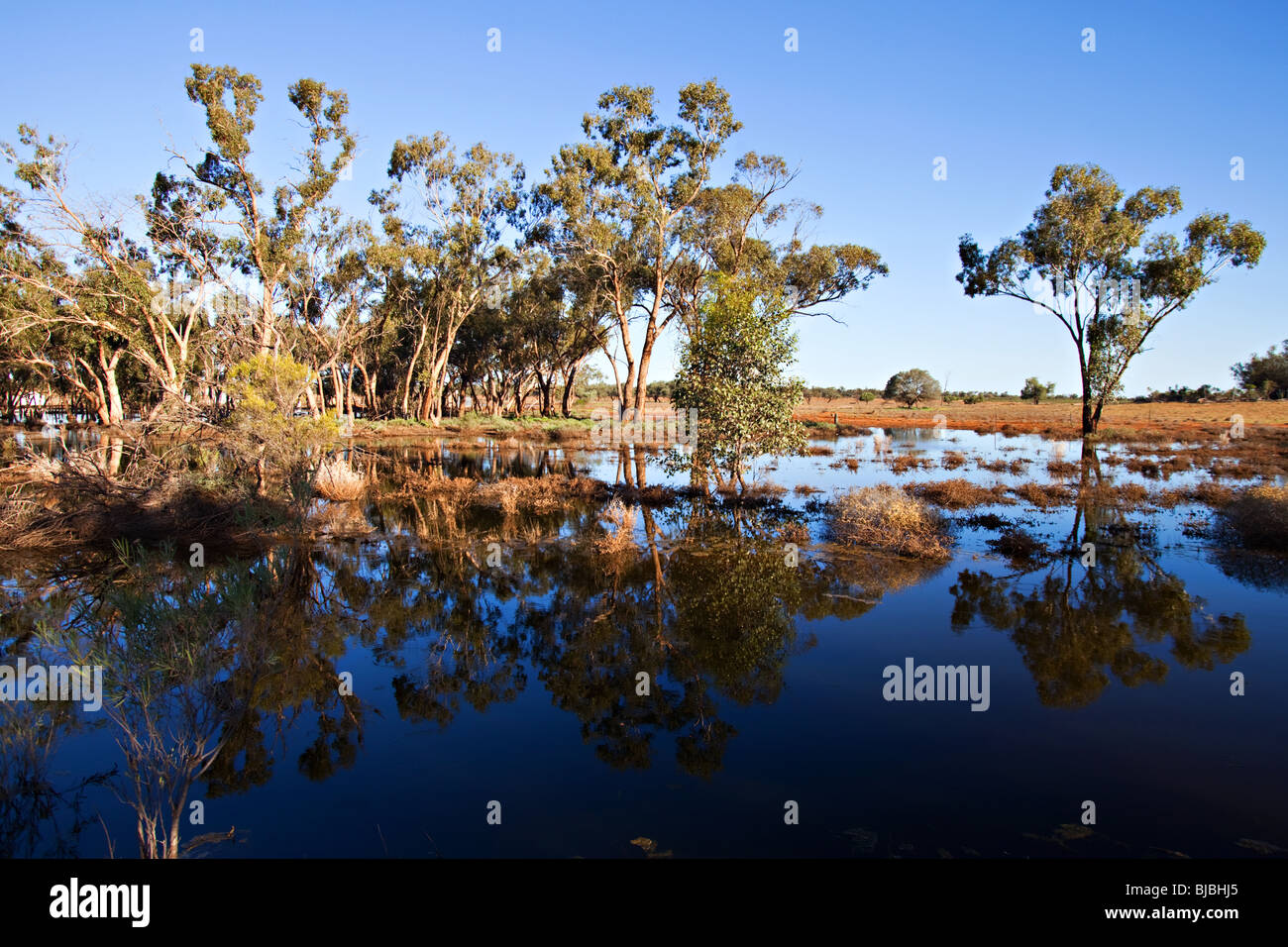 Acqua in outback australiano dopo le inondazioni, NSW Australia Foto Stock