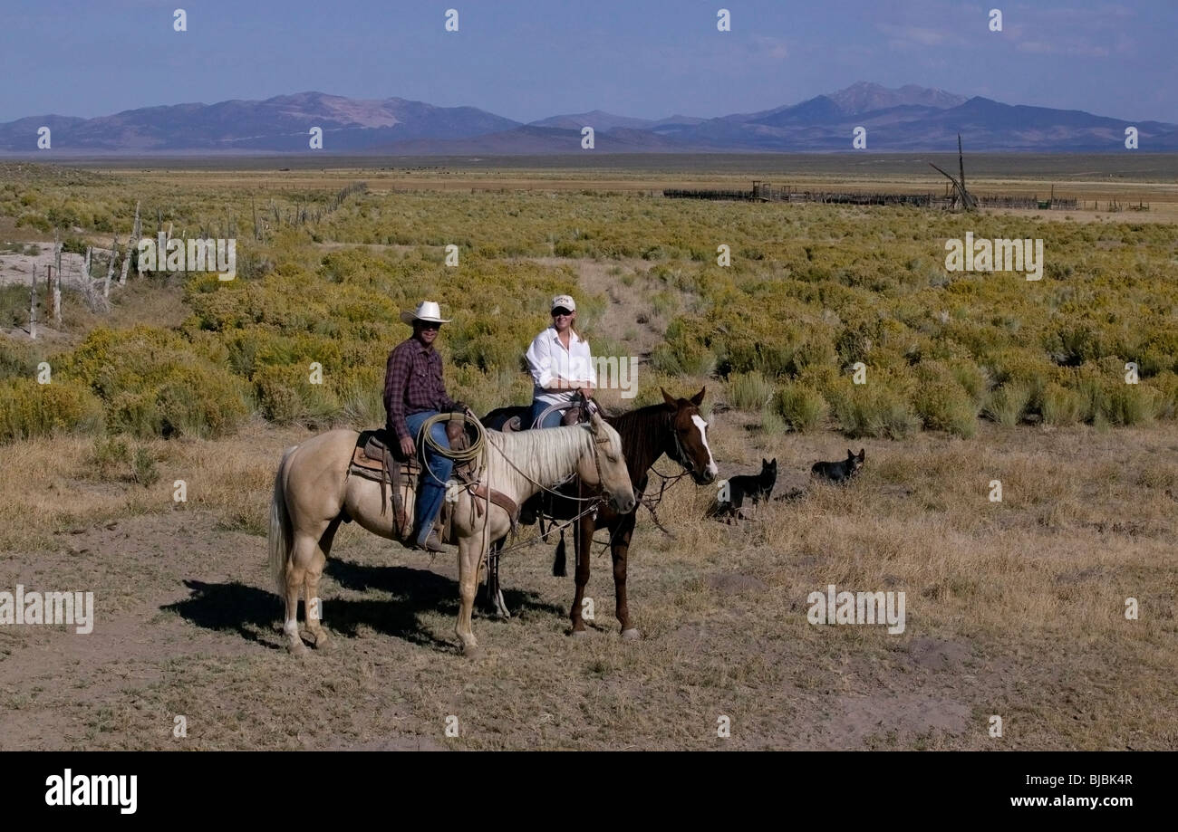 Allevatori in Nevada USA Foto Stock