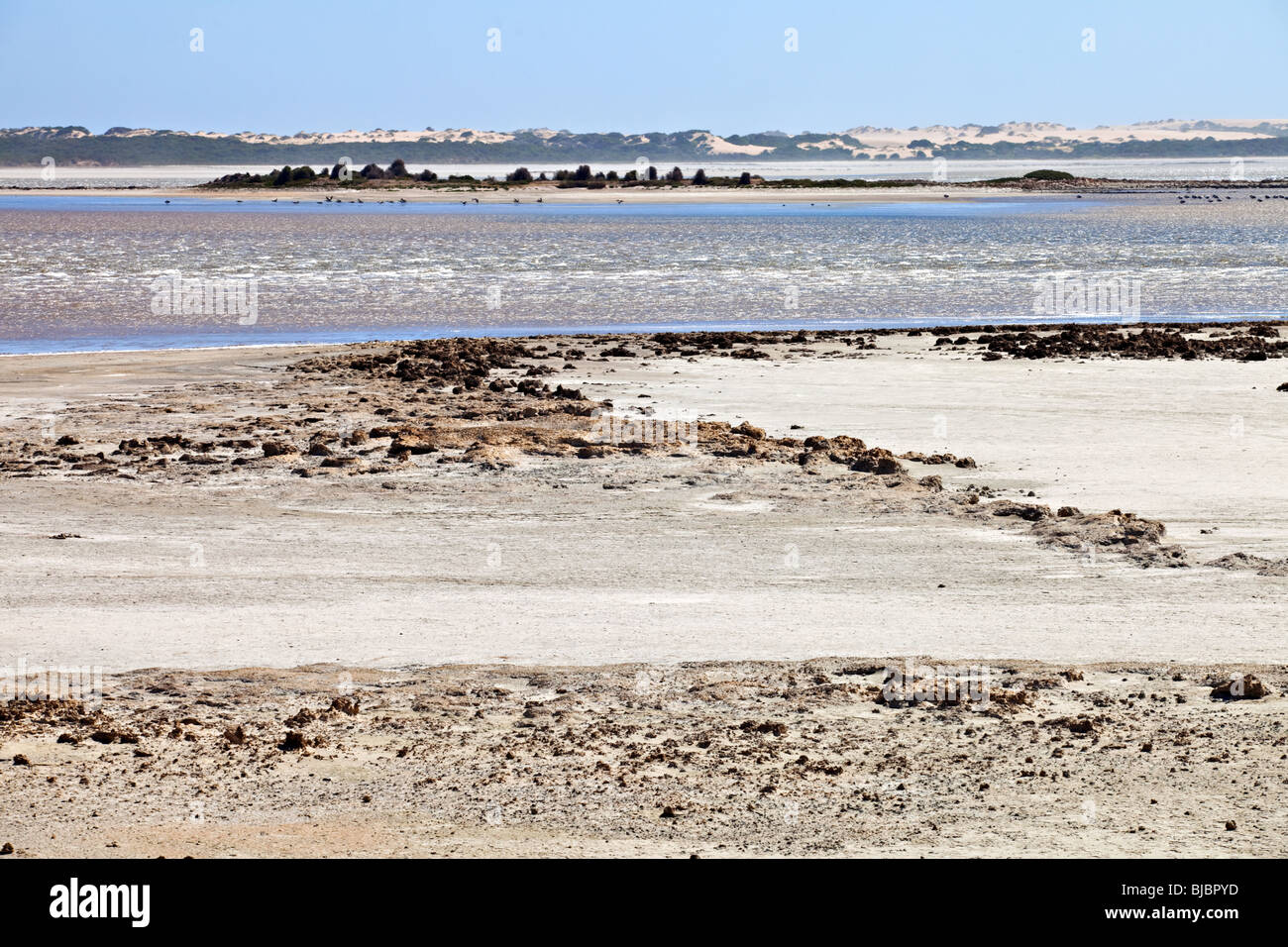 Parco Nazionale di Coorong, Sud Australia Foto Stock
