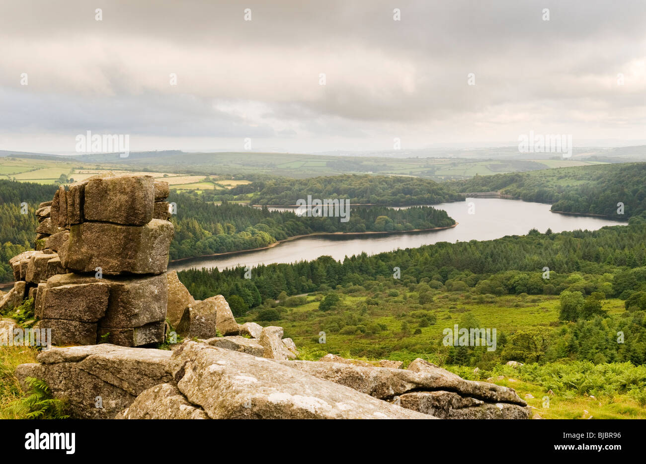 Vista del serbatoio Burrator, Dartmoor Devon UK Foto Stock