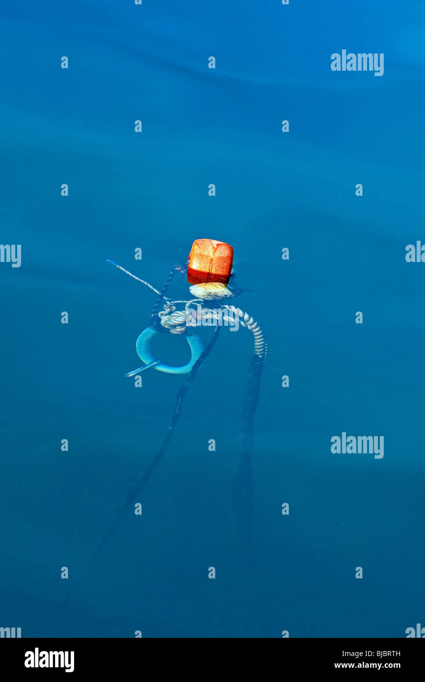 Boa e cima di ormeggio Foto Stock