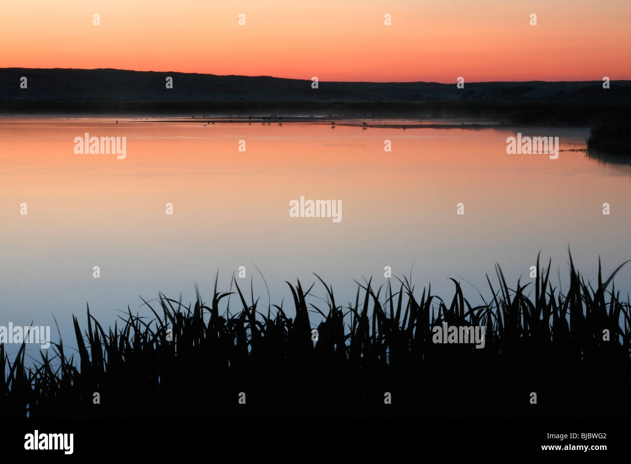 Il lago al tramonto, in De Bollerkamer duna di sabbia riserva naturale, Texel, Olanda Foto Stock