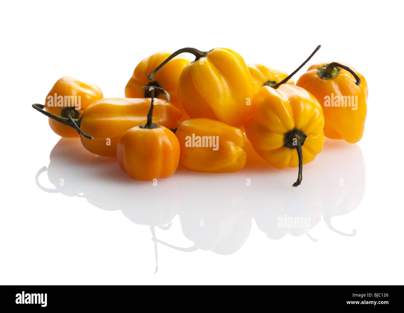 Cumulo di giallo habanero chili peppers sulla superficie bianca riflettente Foto Stock
