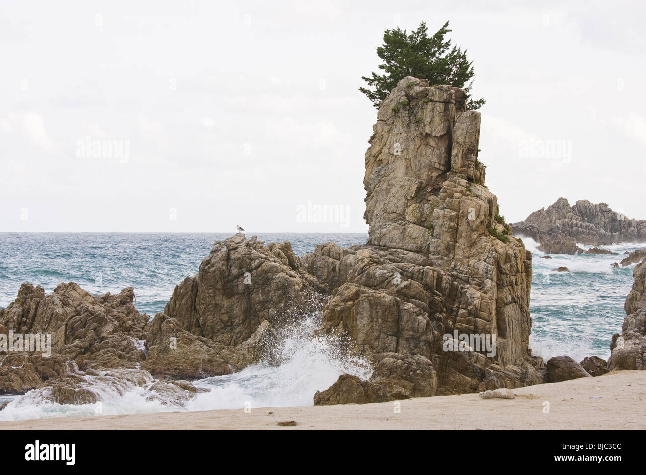 Corea del sud est rocciosa costa, a sud di Haesindang Foto Stock
