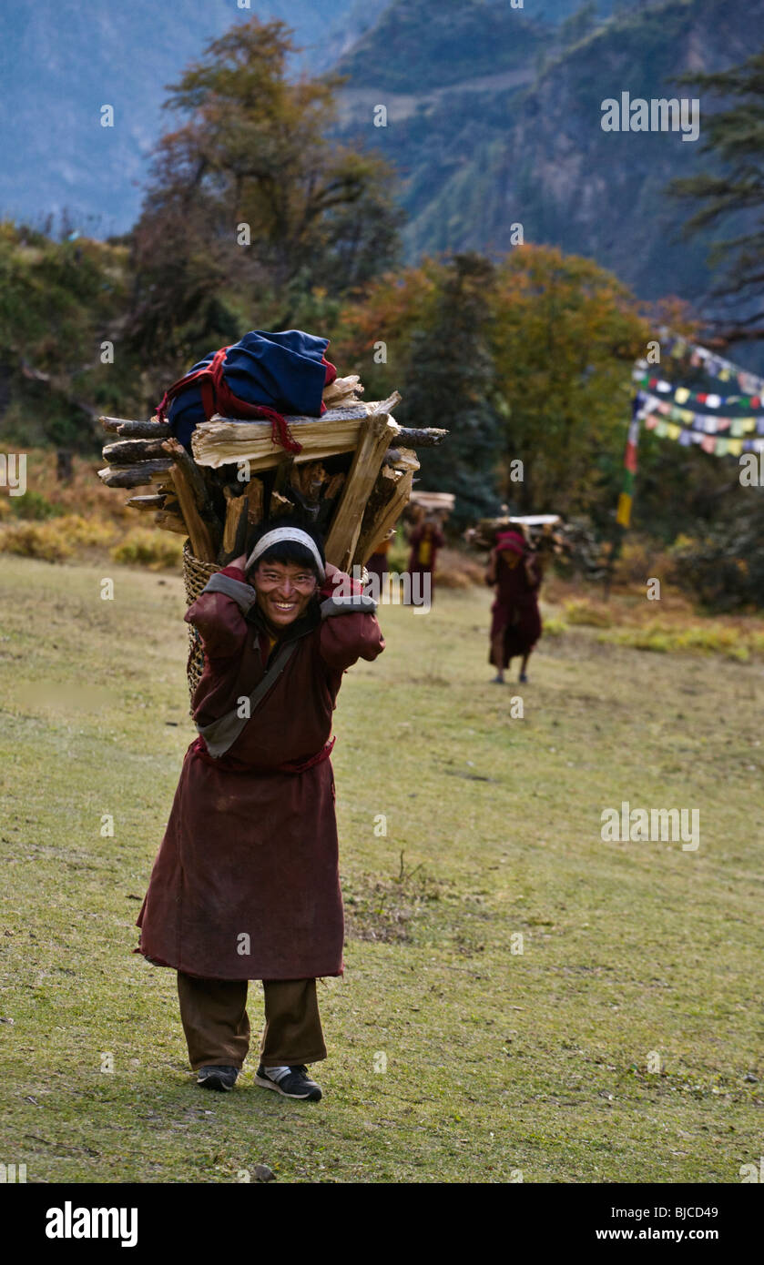 Un monaco cale di legna da ardere per la sua tibetano remoto monastero buddista - Nepal Foto Stock