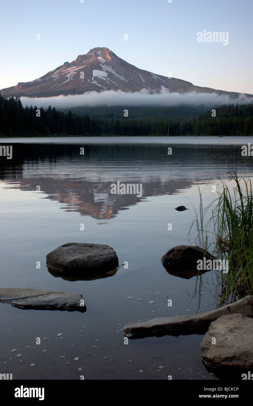 Trillium Lago di Monte Cofano Oregon stato USA Stati Uniti America del Nord Foto Stock