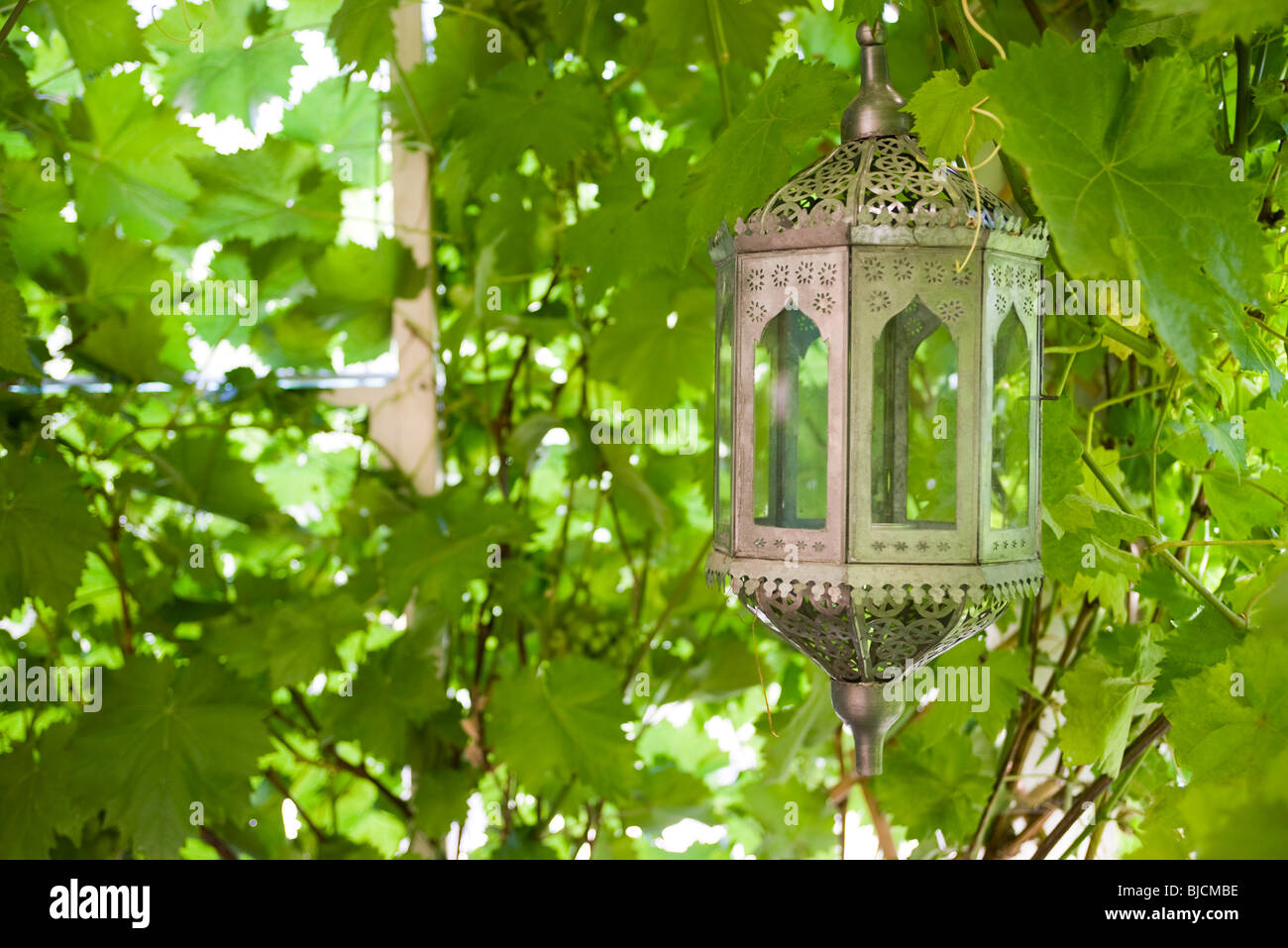 Lanterna marocchina contro lo sfondo di lussureggiante fogliame Foto Stock