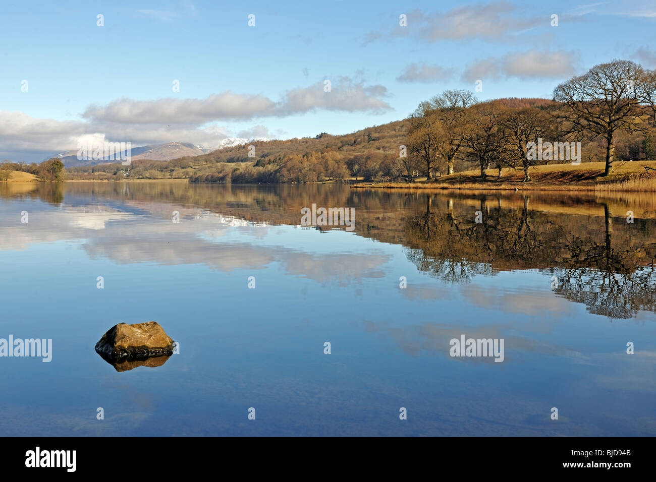 Lakeland litorale riflessa in acqua Esthwaite, Cumbria, Inghilterra Foto Stock