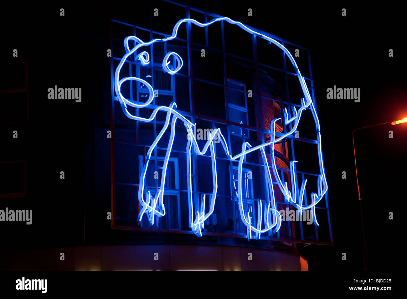 Neon blu polar bear illuminato di disegno per i bambini Foto Stock