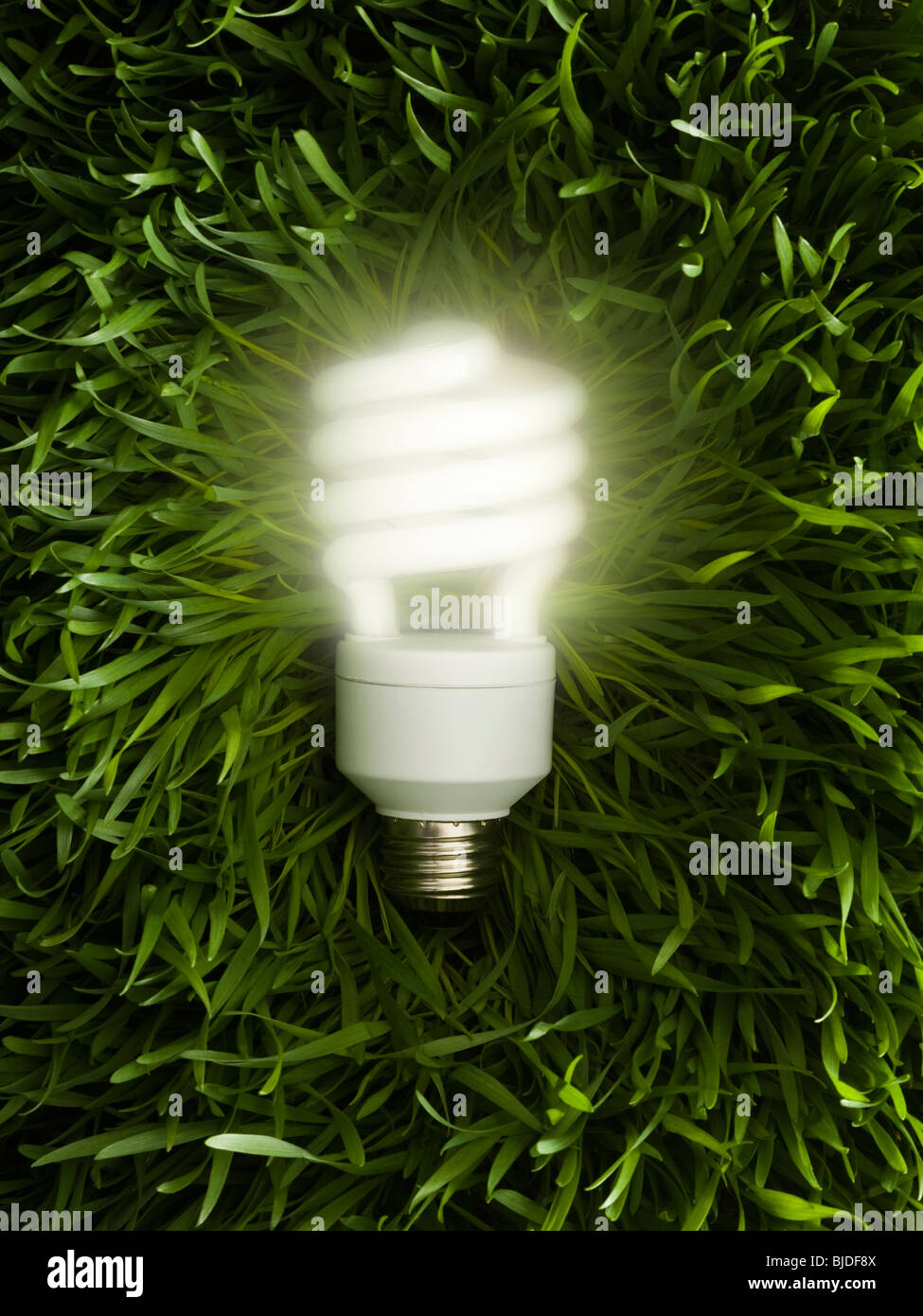 Efficienza energetica lampadina luce sull'erba verde. Foto Stock
