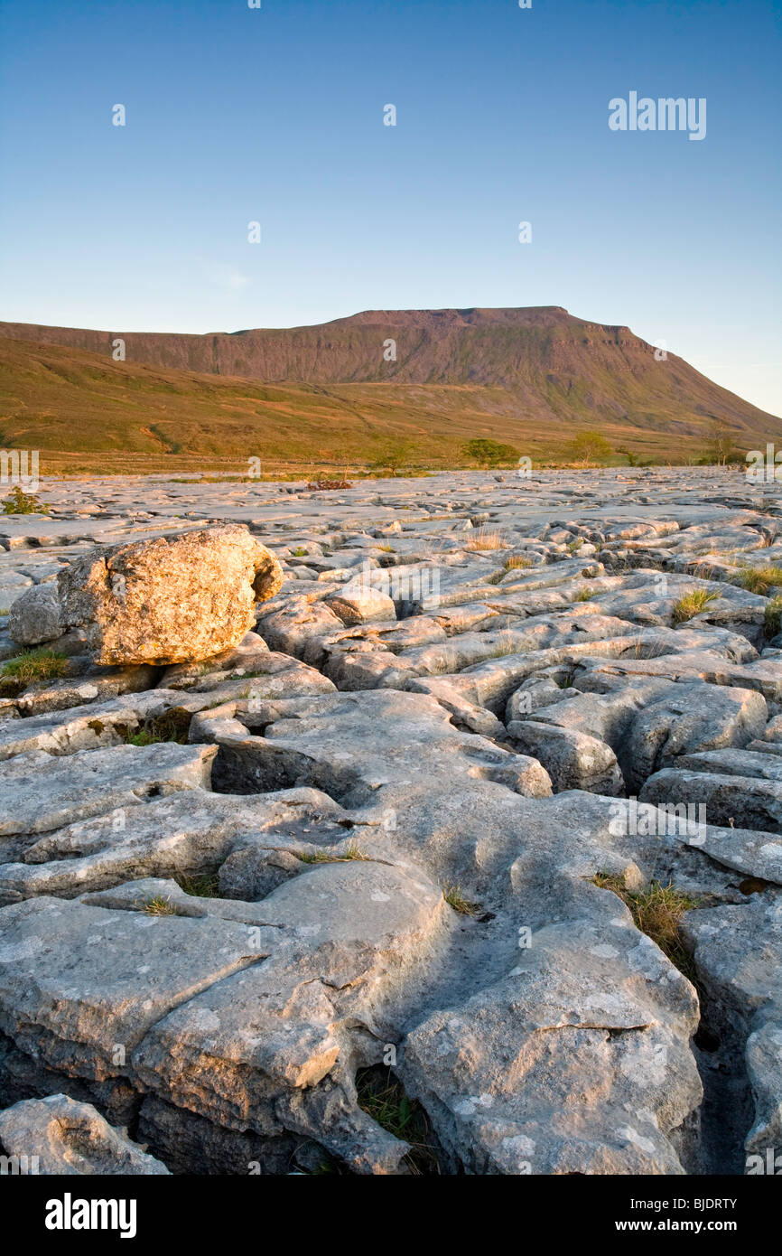 Ingleborough con pavimentazione di pietra calcarea. Foto Stock