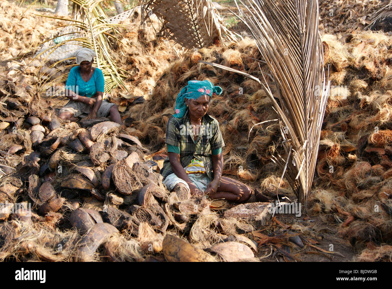 Nativo di Kerala le donne che lavorano nella estrazione di cocco da buccia di cocco in piccola scala industria di cocco in Kerala India Foto Stock