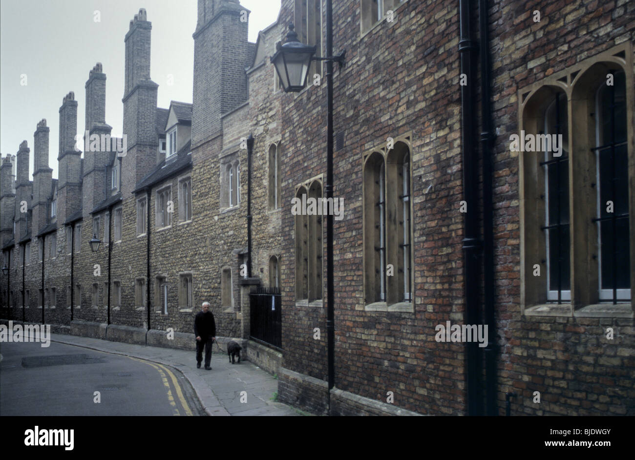 Trinity Lane, Cambridge, Inghilterra Foto Stock