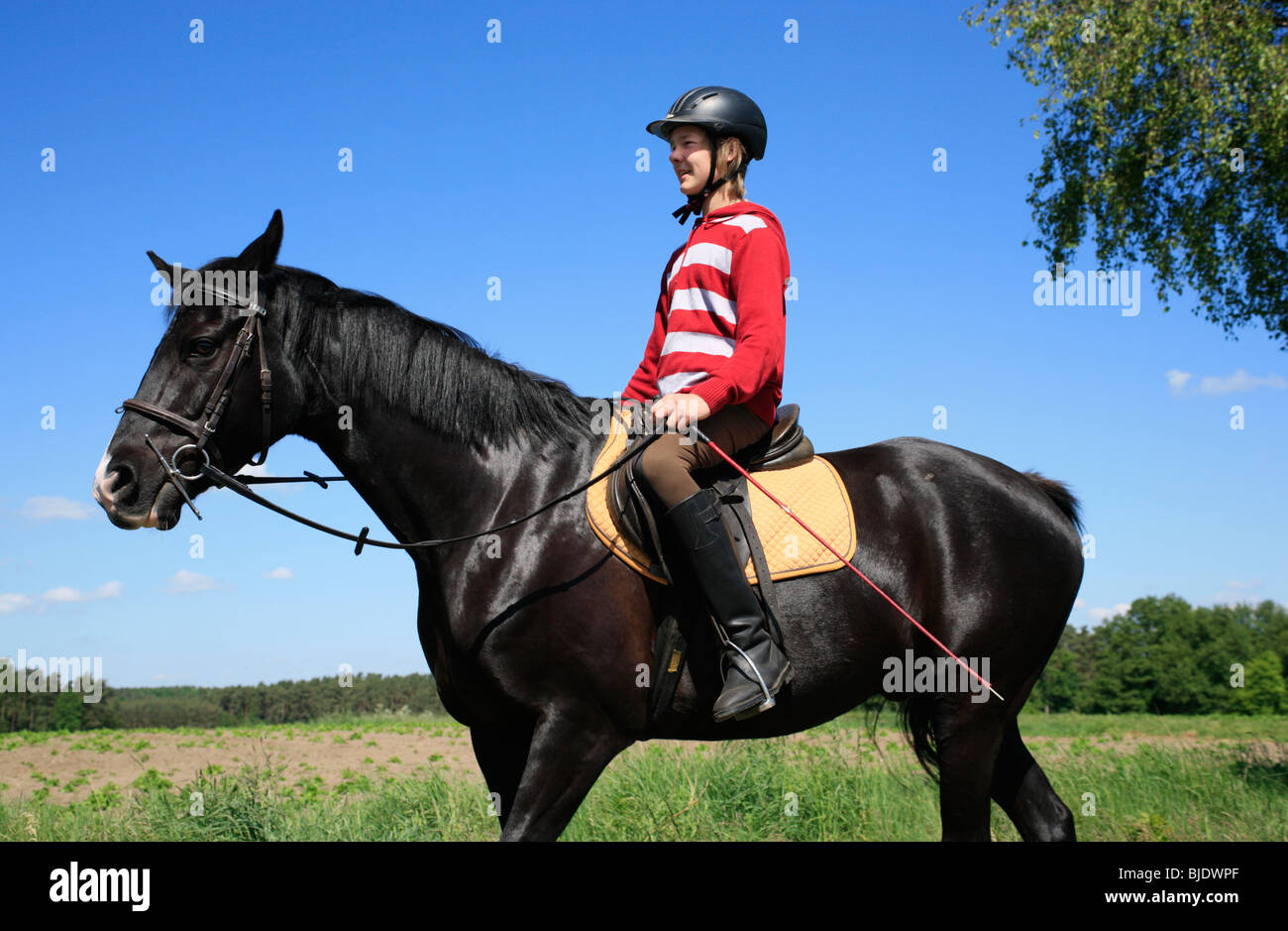 Ragazzo adolescente a cavallo di un stallone nero Foto Stock