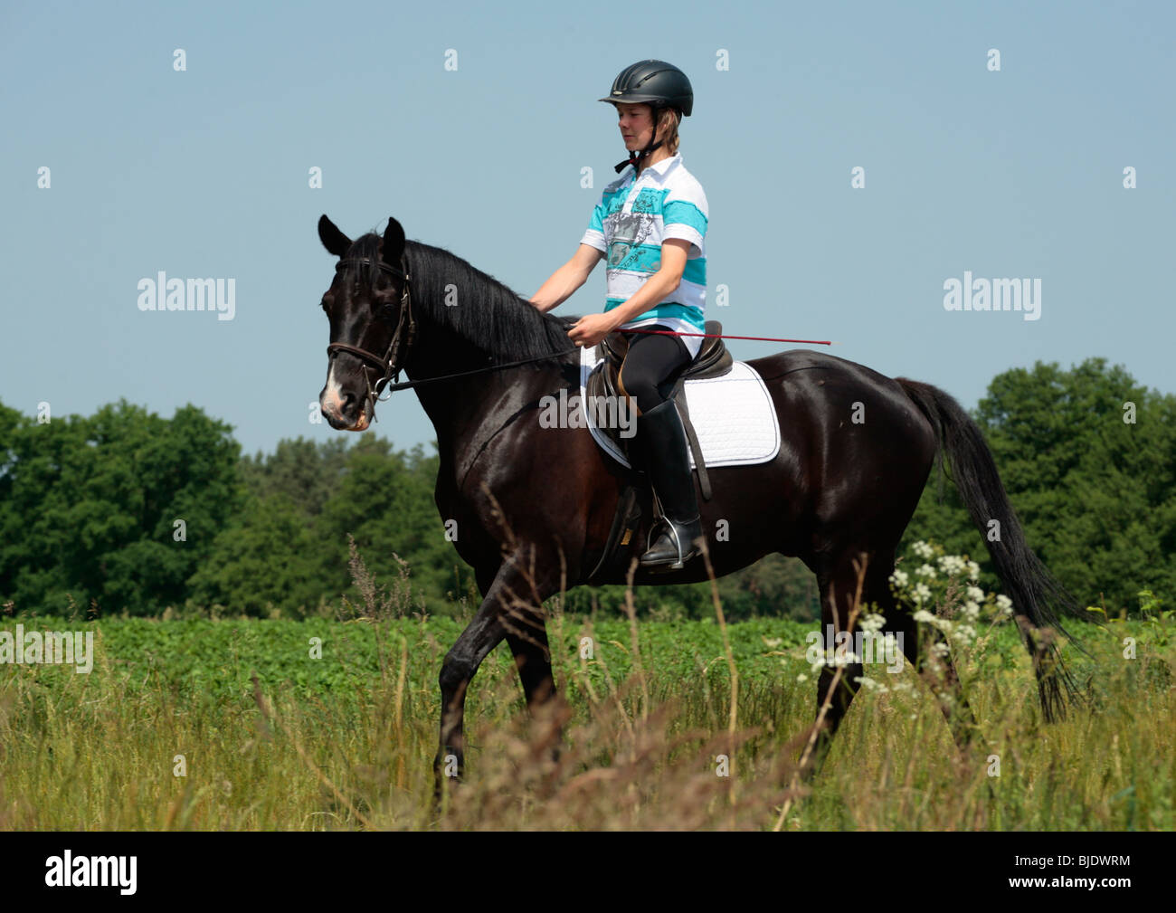 Ragazzo adolescente a cavallo di un stallone nero Foto Stock