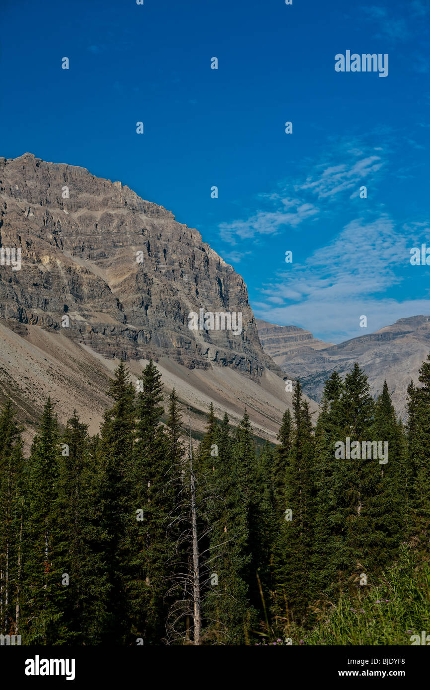 Canadian Rockies - Jasper National Park - Alberta - Canada Foto Stock