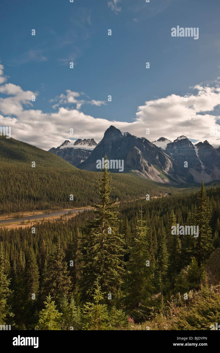 Il Fiume Bow Valley - Parco Nazionale di Banff - Alberta - Canada Foto Stock