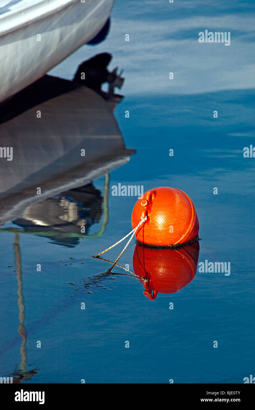 La boa e le sue riflessioni Foto Stock