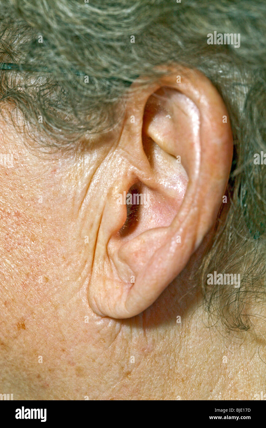 Fotografia di un orecchio womans Foto Stock