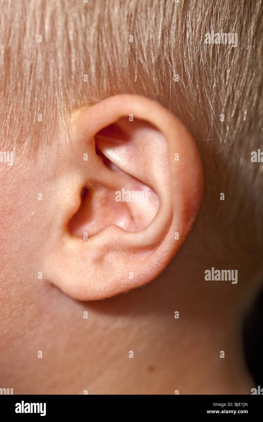 Fotografia di un bambino l orecchio Foto Stock