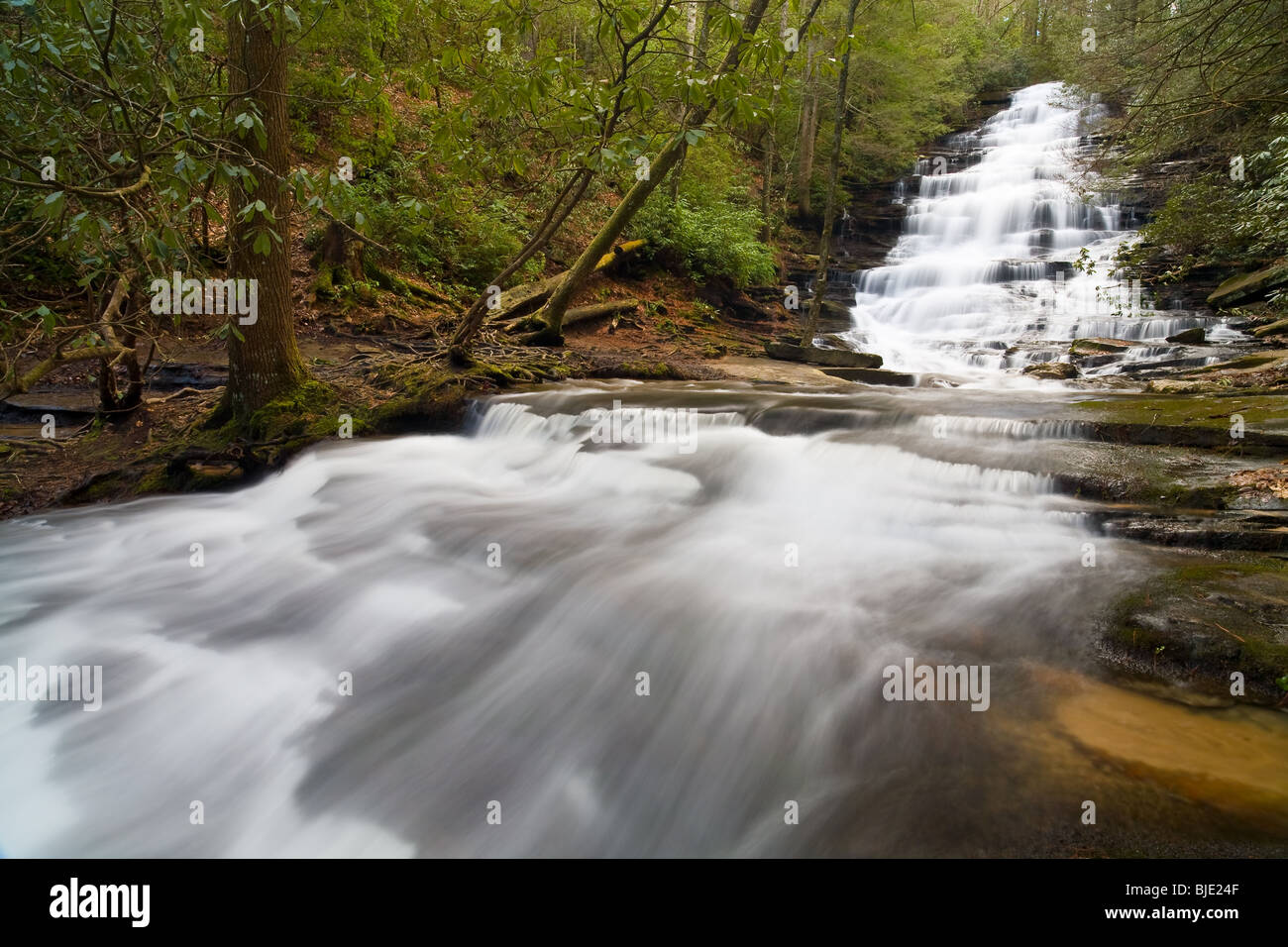 Uno dei miei preferiti cade a fotografare e credo di maggio hanno appena preso il mio preferito colpo di esso. Curioso di sentire che cosa pensate. Non vi è più acqua che fluisce oltre che io abbia mai visto. Foto Stock