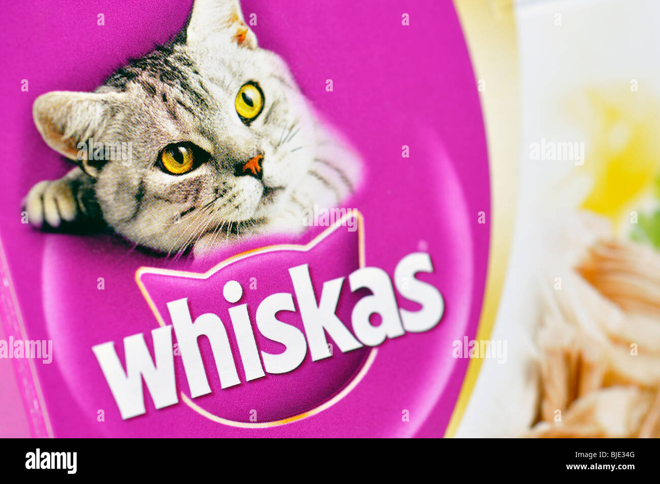 Whiskas immagini e fotografie stock ad alta risoluzione - Alamy