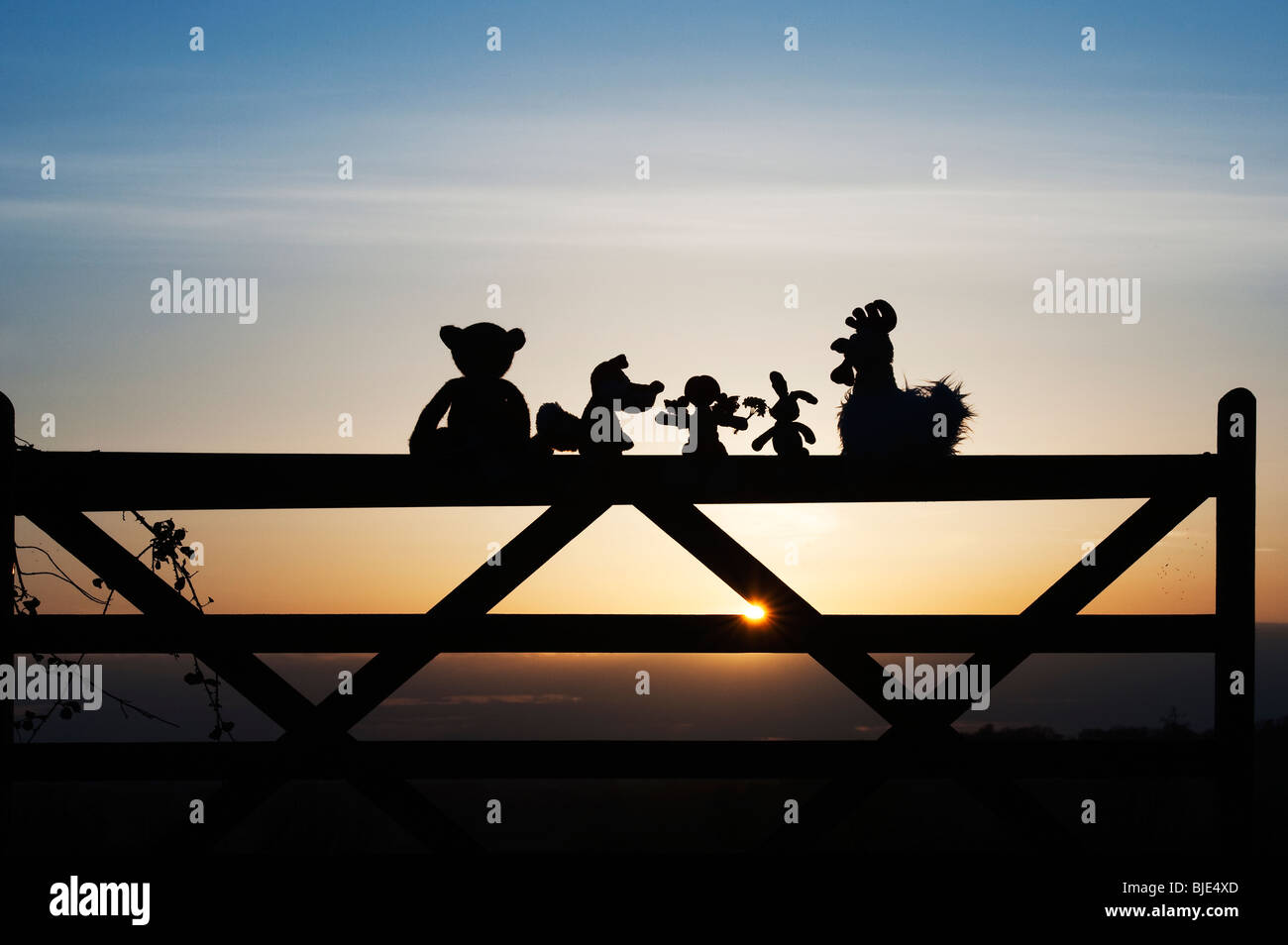 Rag Doll, pollo, la volpe, il coniglio e orso peluche seduto su un cancello al tramonto nella campagna inglese. Silhouette Foto Stock