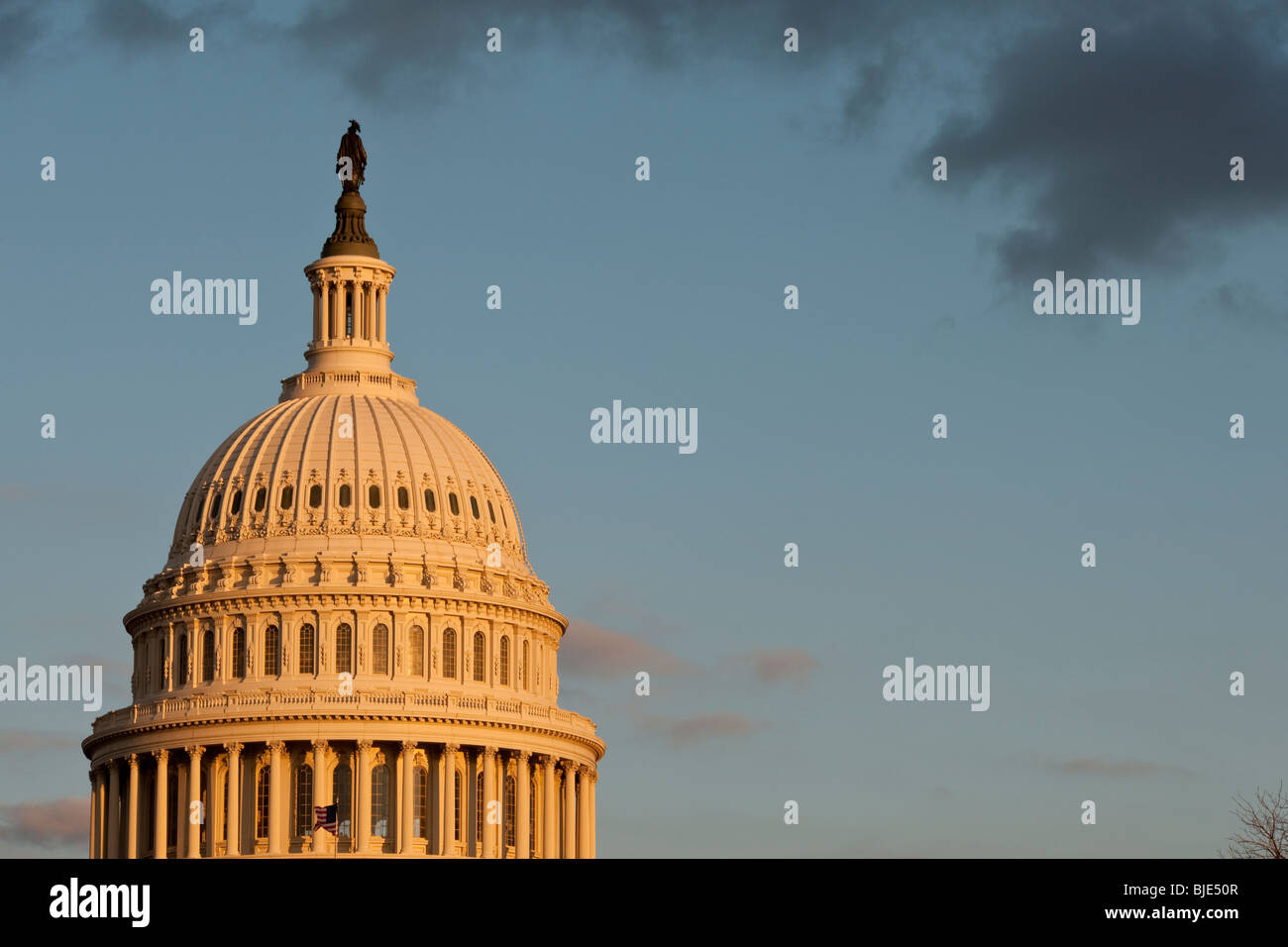 La Rotunda del Campidoglio di Washington D.C. Stati Uniti d'America Foto Stock