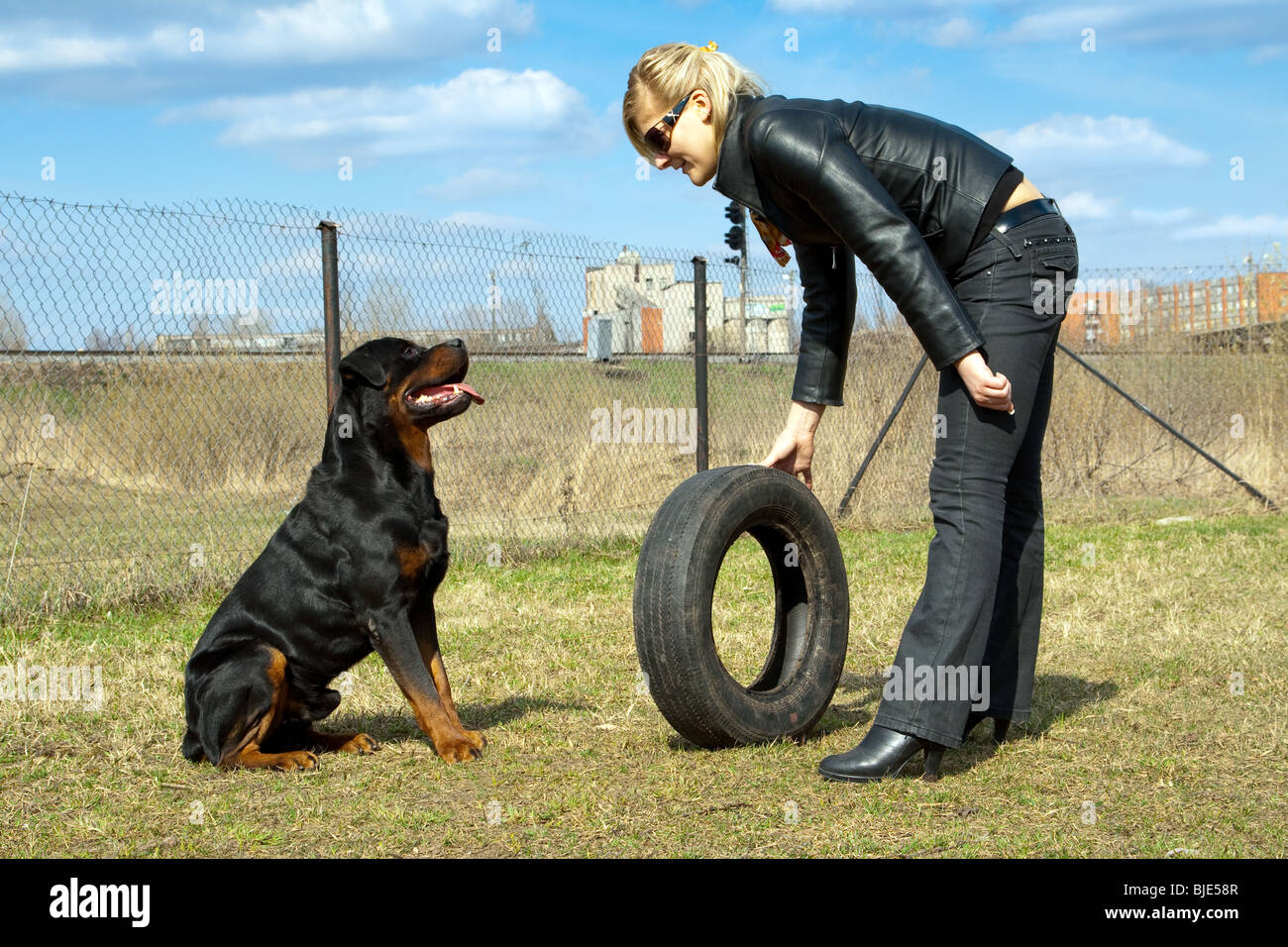 Giovane donna bionda con rottweiler e pneumatico su una formazione. Foto Stock