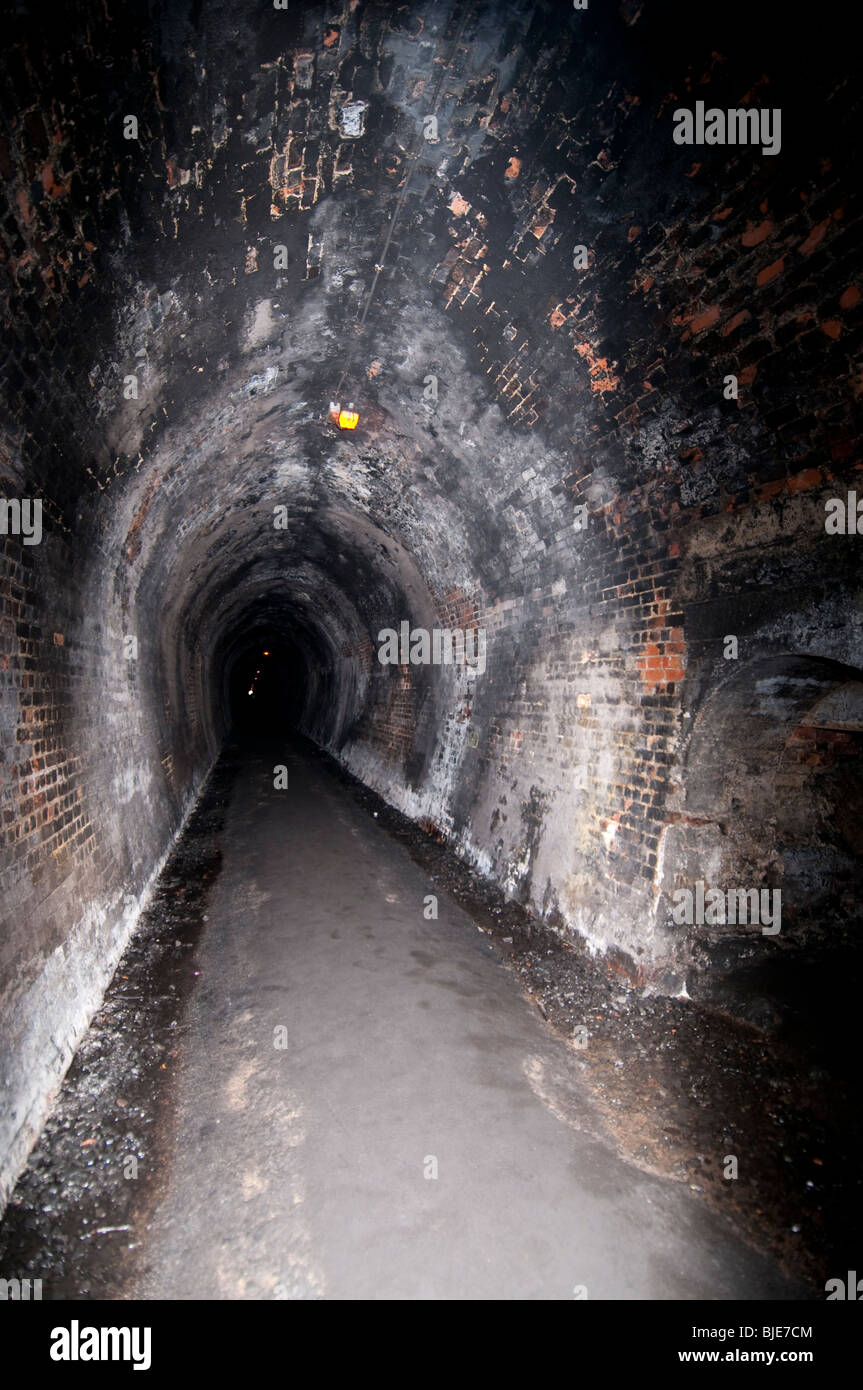 Il vecchio binario che viene ora utilizzato come un piede del turismo percorso, Karangahake Gorge Foto Stock