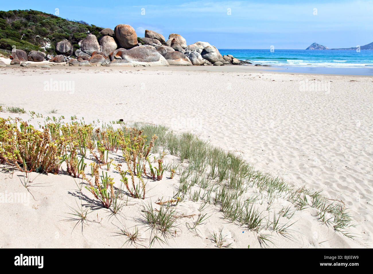 La baia di whiskey, Wilsons Promontory National Park, Victoria, Australia Foto Stock