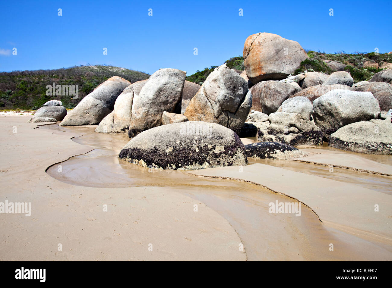La baia di whiskey, Wilsons Promontory National Park, Victoria, Australia Foto Stock