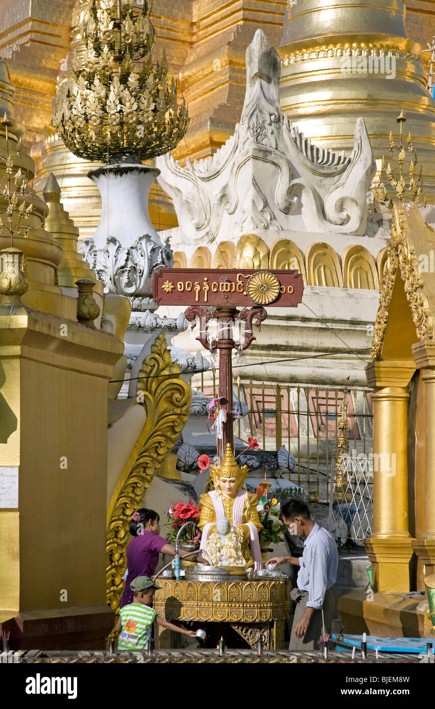 Famiglia birmano versando acqua su una statua di Buddha (rituale di culto). Shwedagon Paya. Yangon. Myanmar Foto Stock