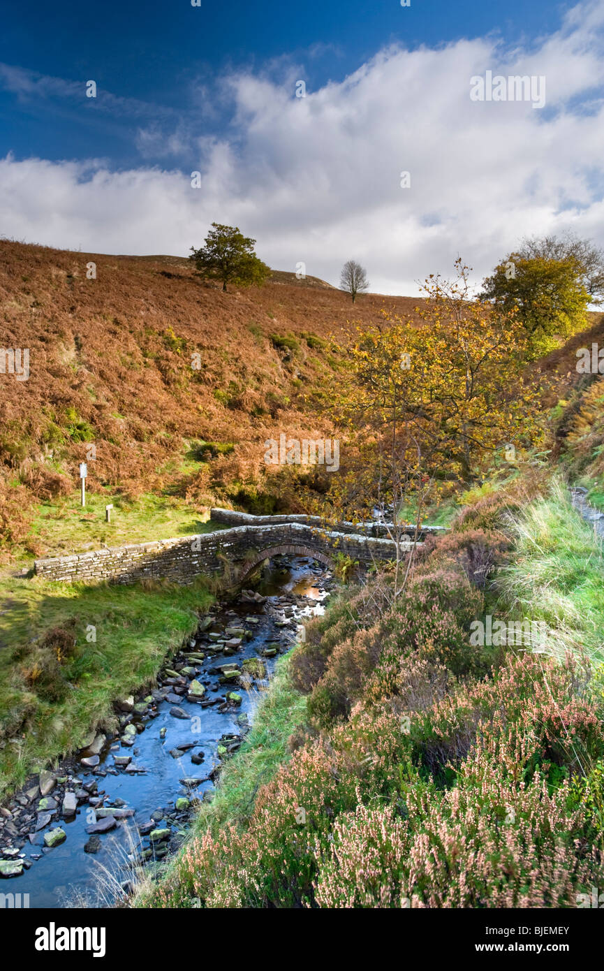 Derbyshire Bridge e il fiume Goyt, Goyt Valley, il Parco Nazionale di Peak District, Derbyshire, England, Regno Unito Foto Stock