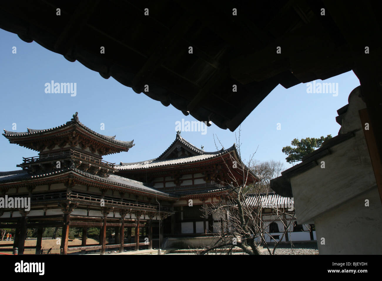 Il Phoenix Hall del Byodoin temple di Uji, nei pressi di Kyoto, Giappone. La Hall è designato come un tesoro nazionale. Foto Stock