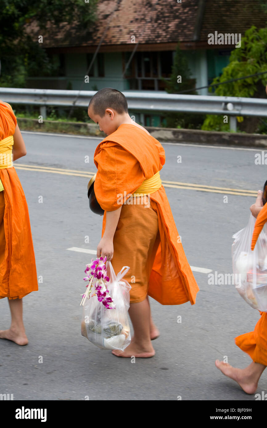 I monaci tailandesi la raccolta di cibo e bevande al mattino presto. Foto Stock