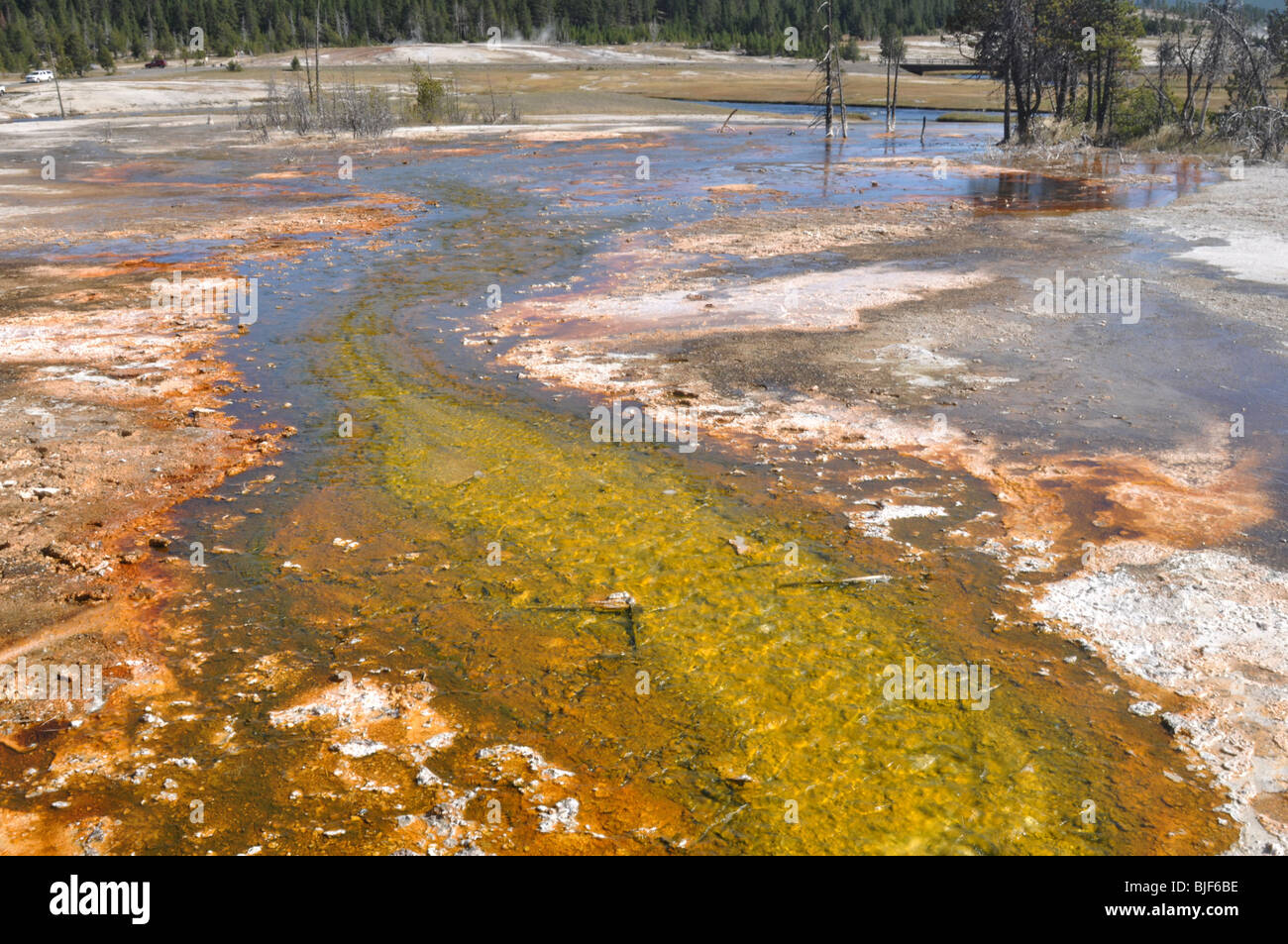 Piscina termale colori - Yellowstone Foto Stock