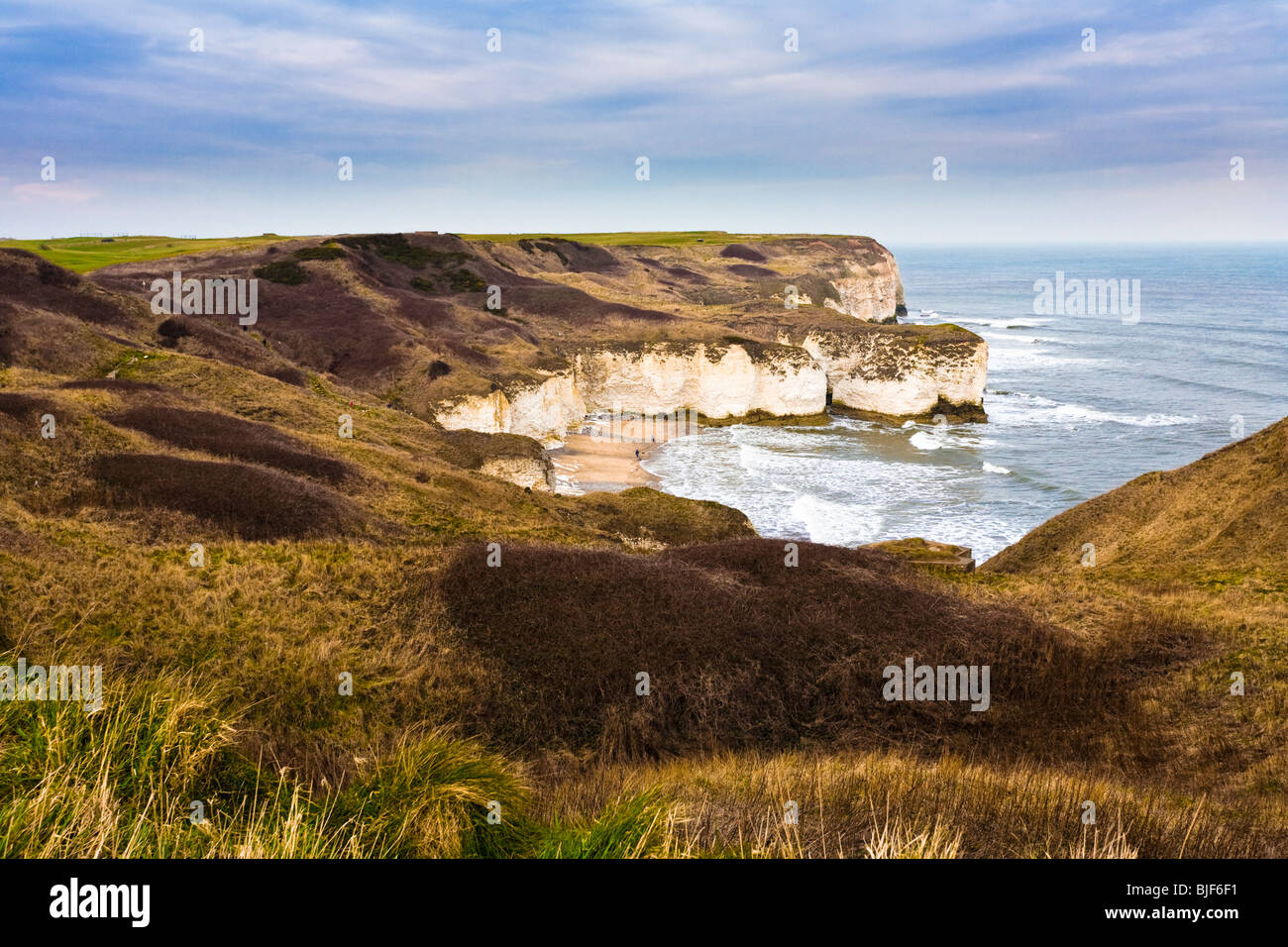 Costa dello Yorkshire - scogliere di Chalk a Flamborough Head, costa di Holderness Yorkshire Regno Unito Foto Stock