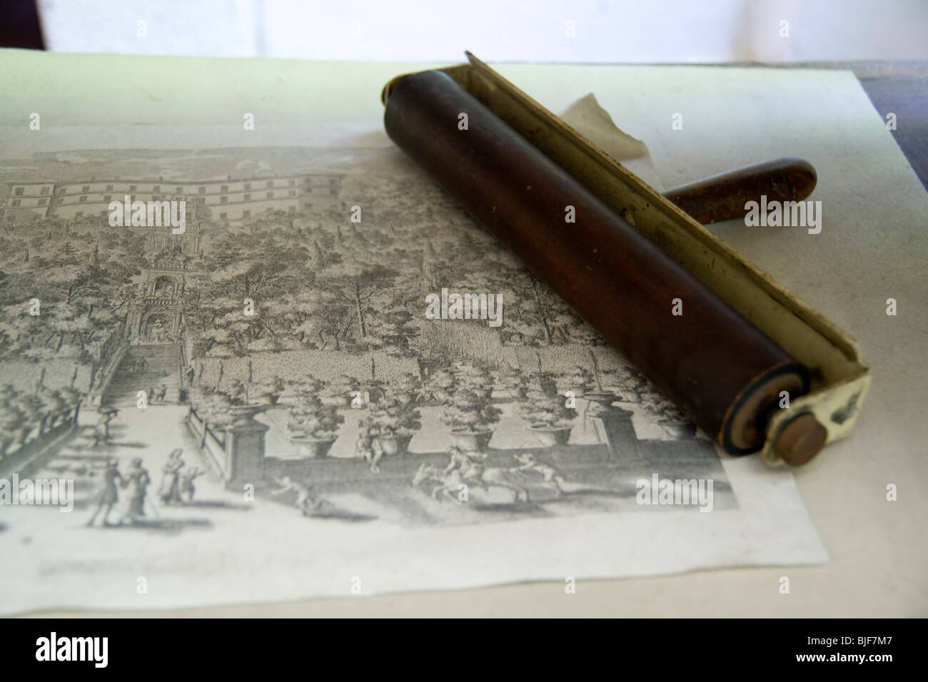 L'Italia, Lazio, Tivoli, Villa d'Este, wood stampa Foto Stock