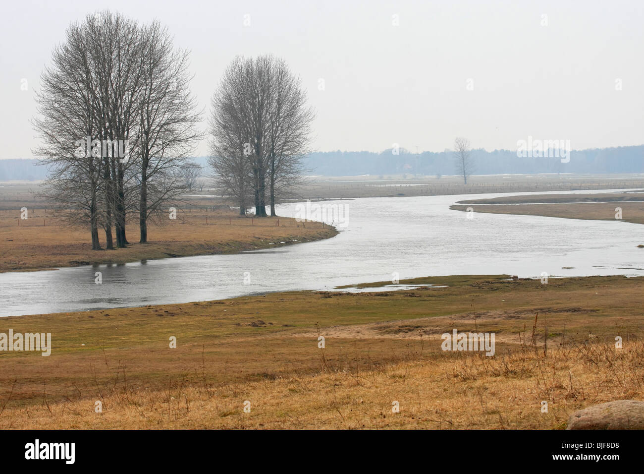 Avvolgimenti del fiume Biebrza, Polonia Foto Stock