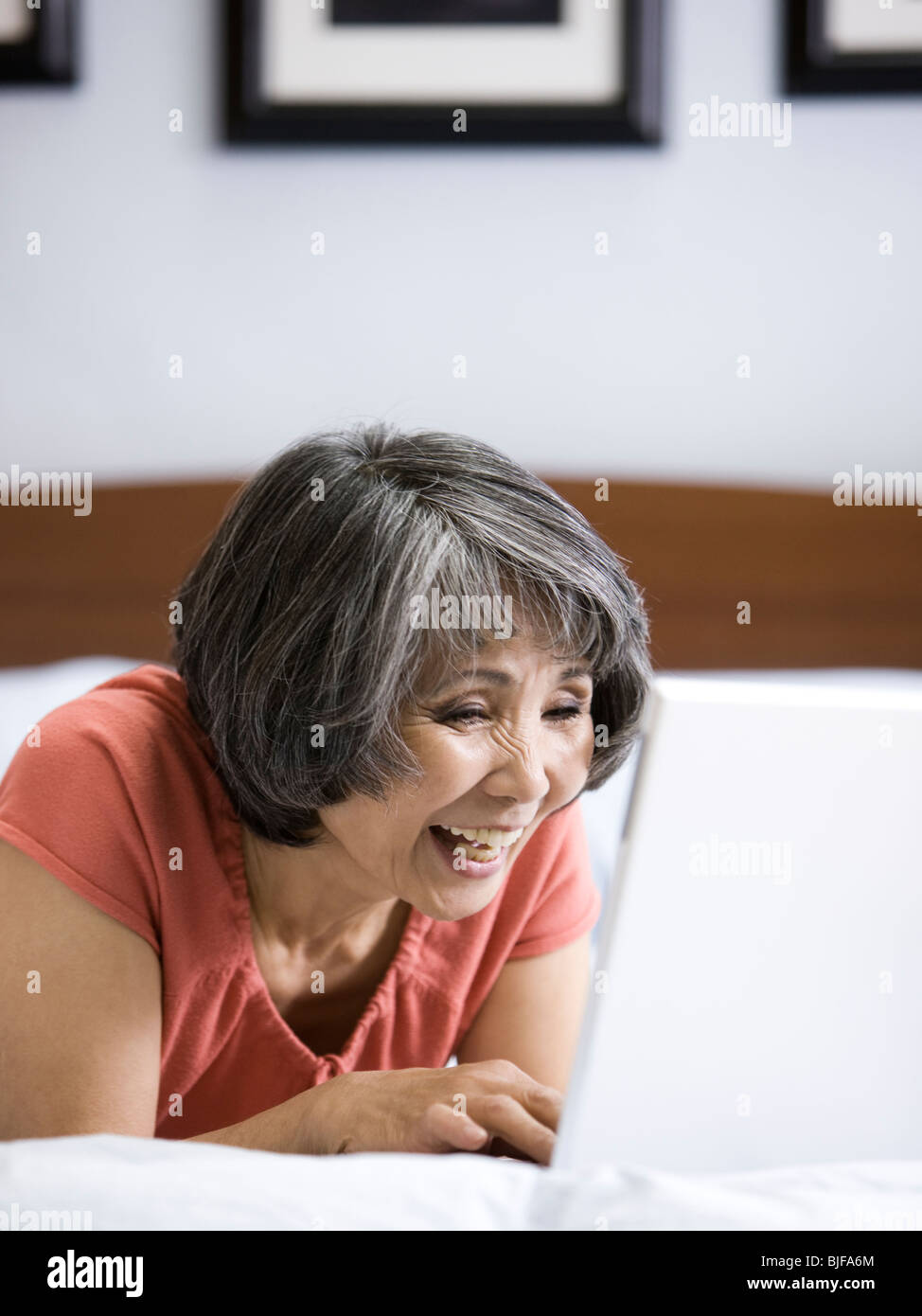 Senior Donna che utilizza un computer portatile Foto Stock