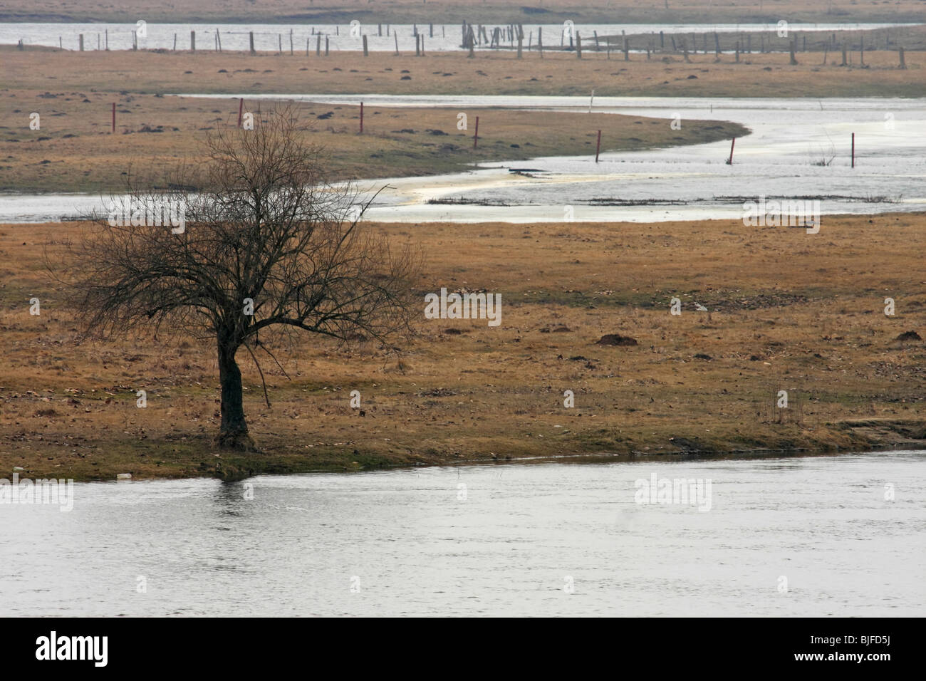 Avvolgimenti del fiume Biebrza, Polonia Foto Stock