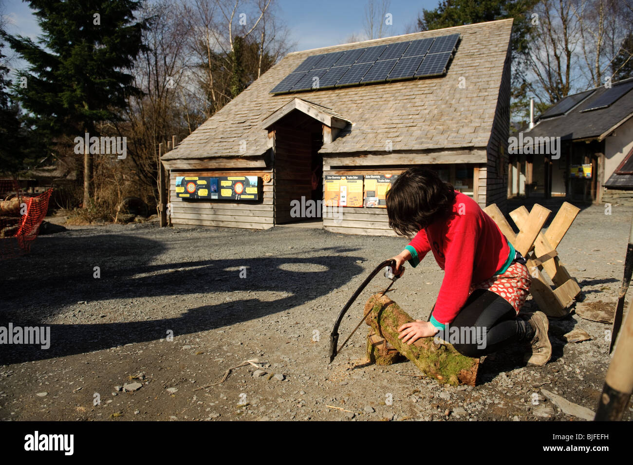Una donna volontario di segatura di legno a CAT - Il Centro per la tecnologia alternativa, nei pressi di Machynlleth, north Wales UK Foto Stock