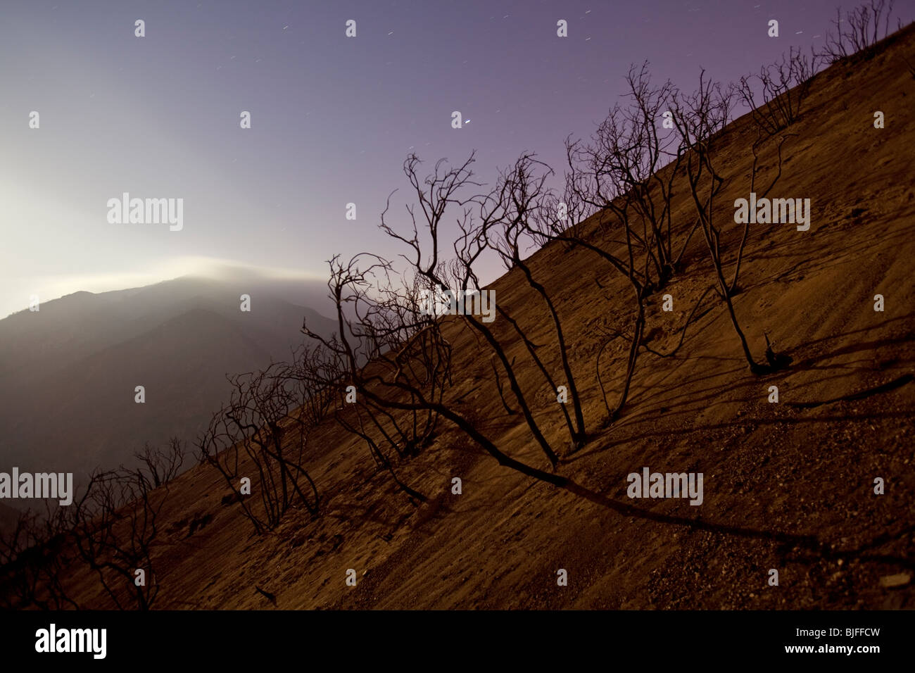 La tattica della terra bruciata e alberi bruciati dalla stazione incendio nel settembre 2009. Angeles National Forest, Los Angeles, California , Stati Uniti Foto Stock