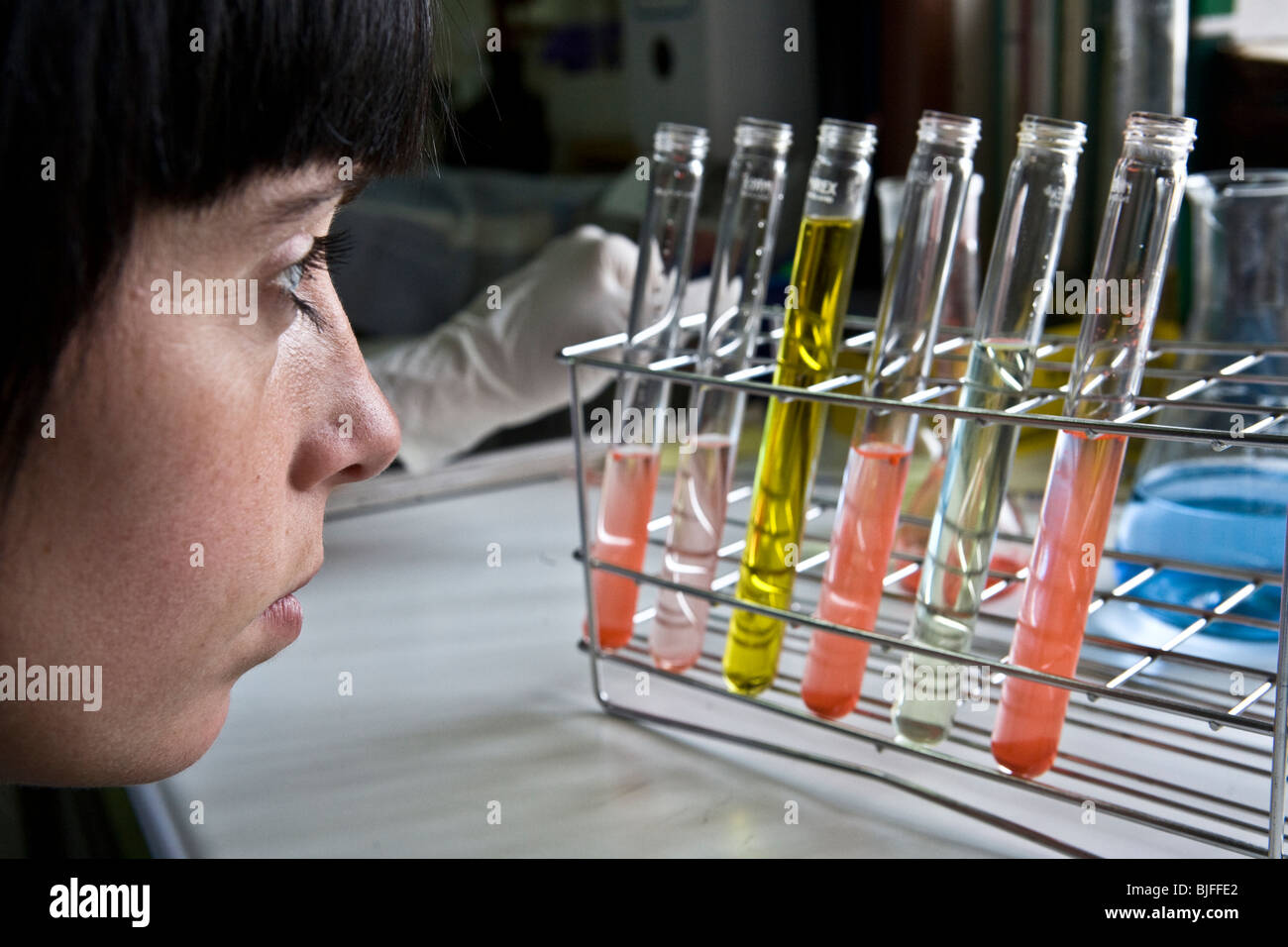 Esaminare scientifica si mostrano in laboratorio Foto Stock