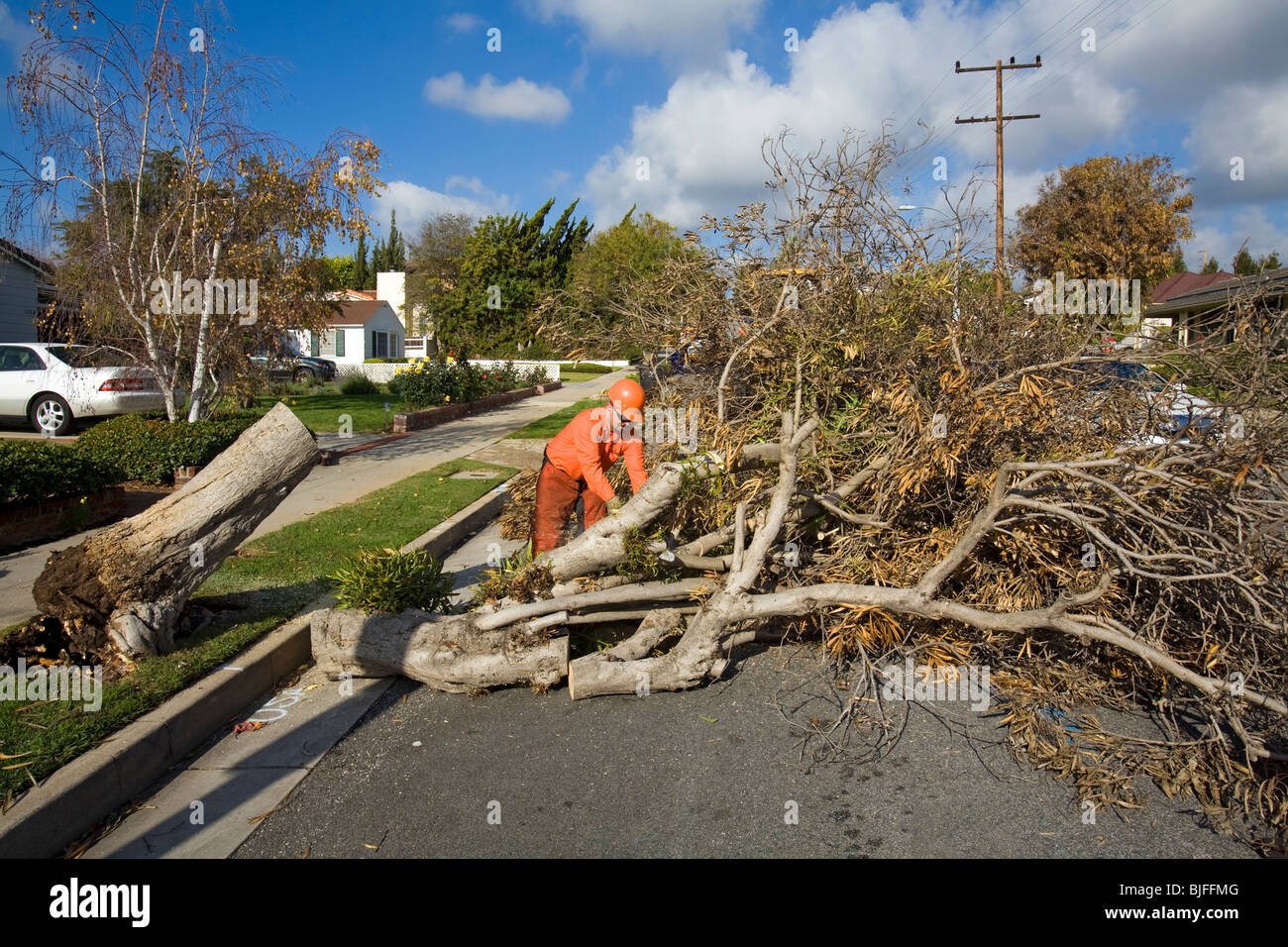 Operatore taglia albero abbattuto dalla recente tempesta. Santa Monica, California, Stati Uniti d'America Foto Stock